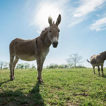 Feriehus Du Domaine De Roujol